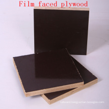 Mr Glue Film Faced Plywood